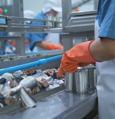 Seafood Processing Plants