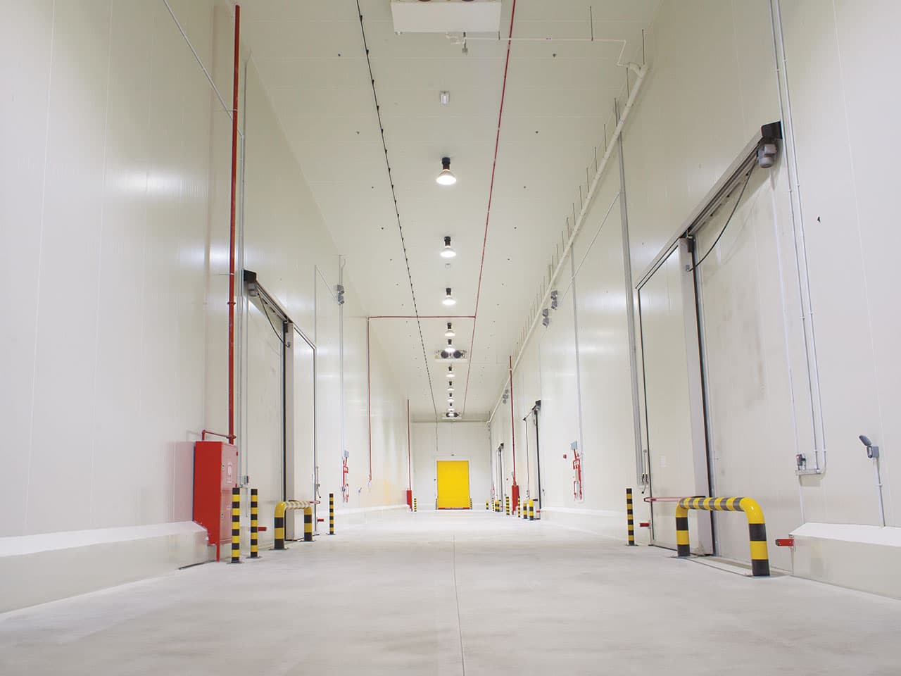 Insulated Panel Solutions for Cold Store Doors