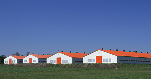 Agricultural buildings